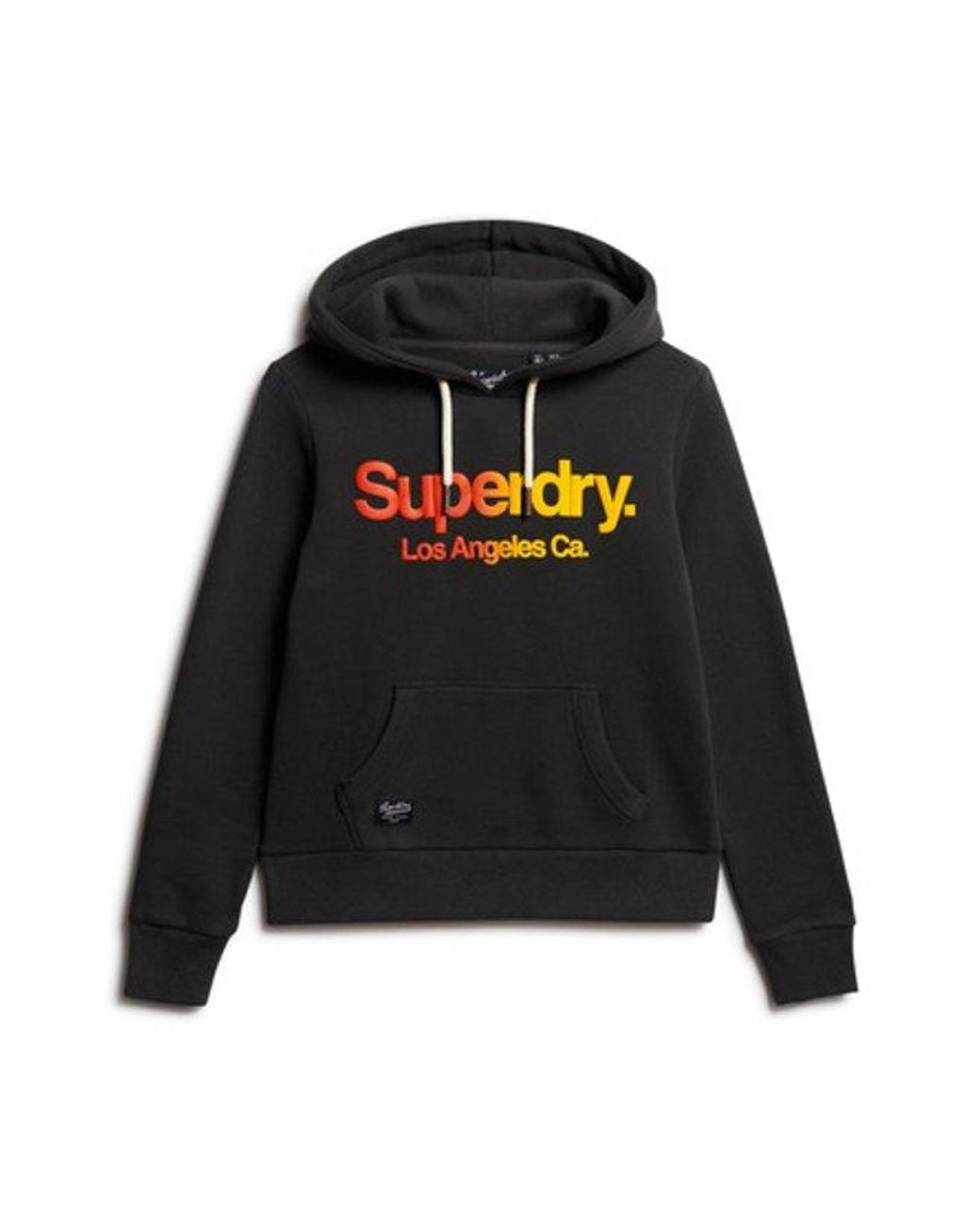 Superdry Black & Co Tonal Rainbow Hoodie