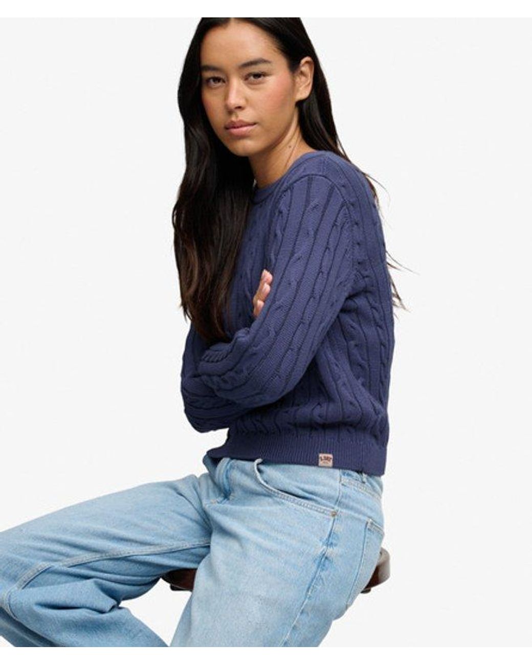 Superdry Essentials Sd & Co Kabelgebreide Trui in het Blue
