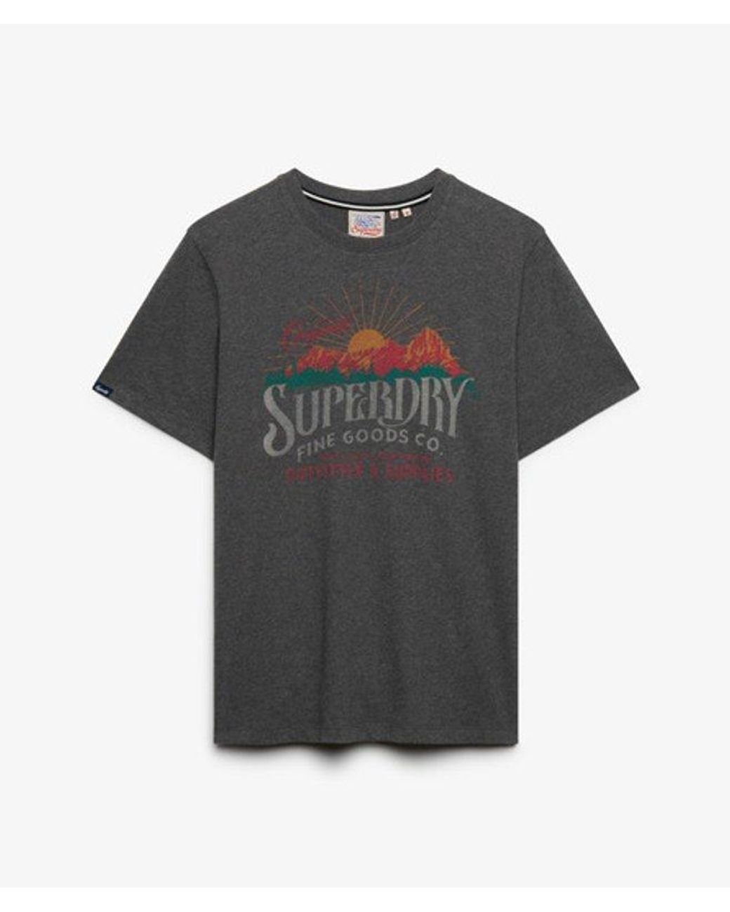 Superdry Black & Co Outdoors Mountain Relaxed T-shirt for men