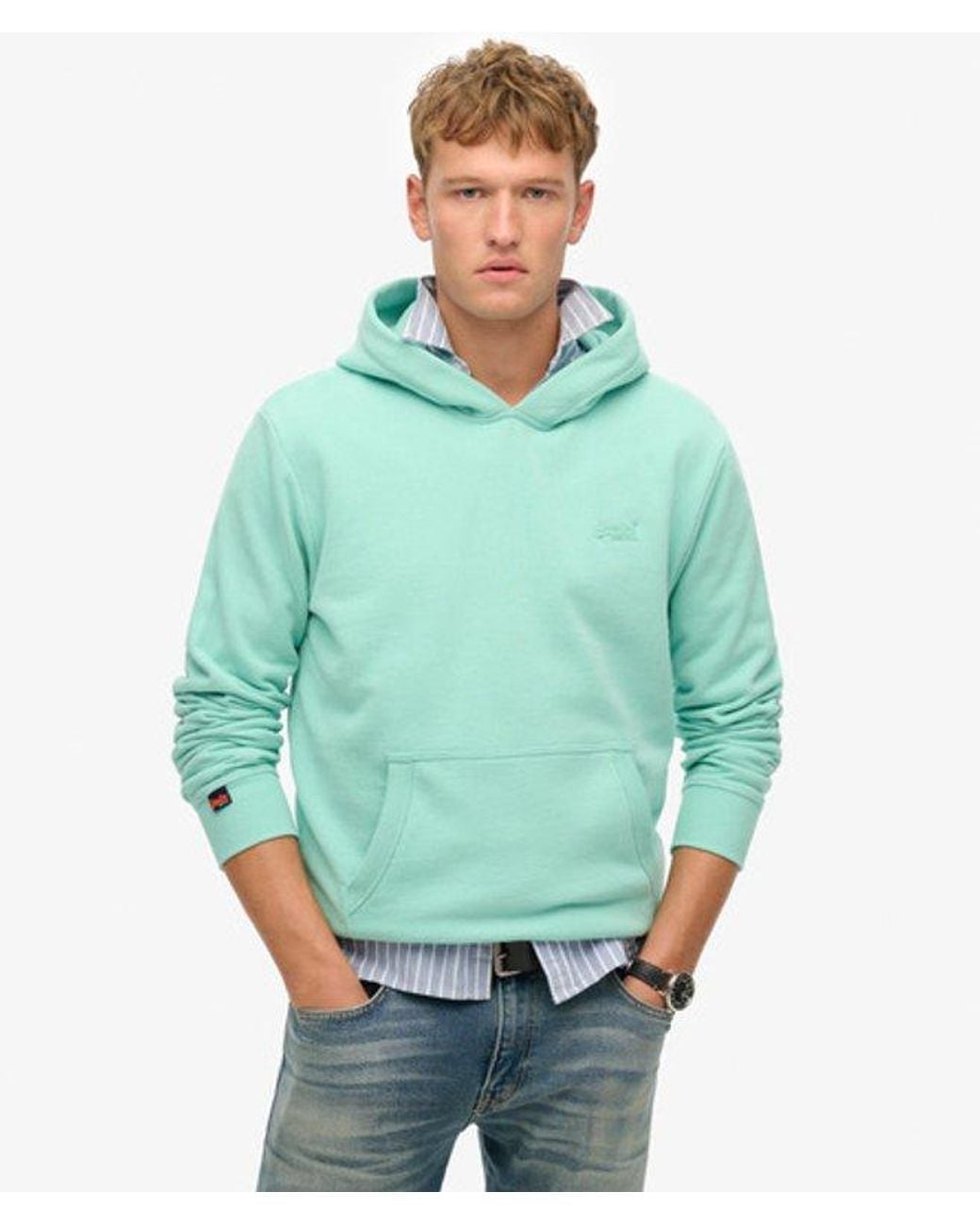 Superdry Green & Co Essential Logo Half Brushed Hoodie for men