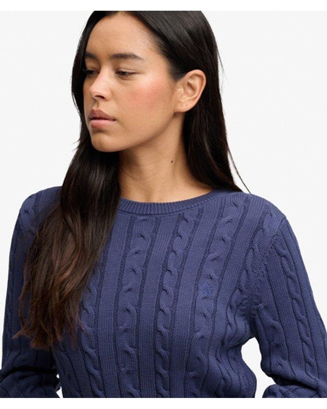 Superdry Essentials Sd & Co Kabelgebreide Trui in het Blue