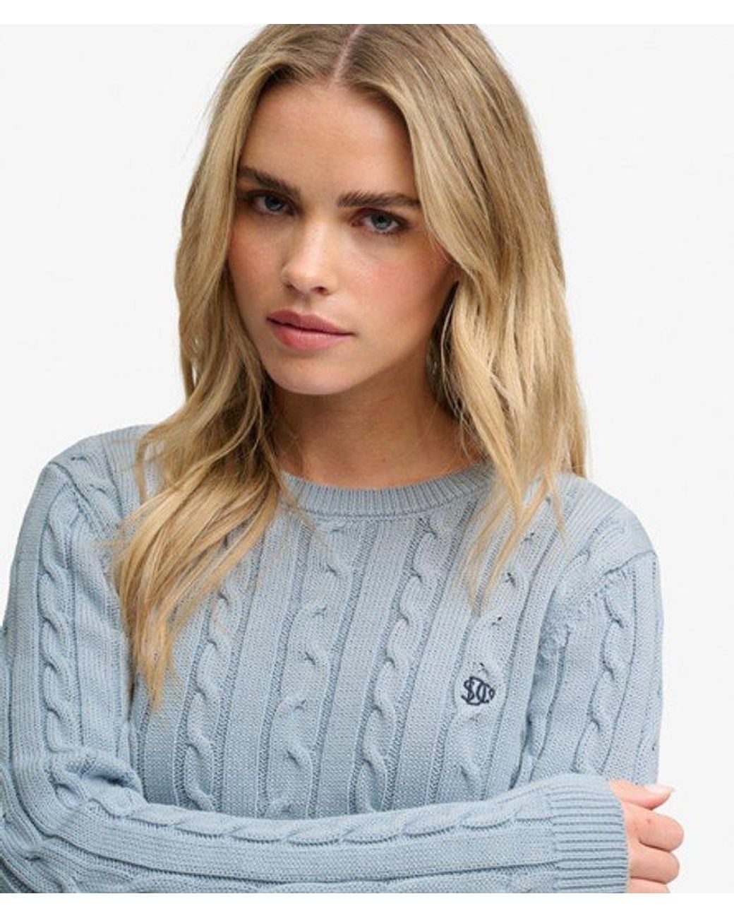 Superdry Essentials Sd & Co Kabelgebreide Trui in het Blue