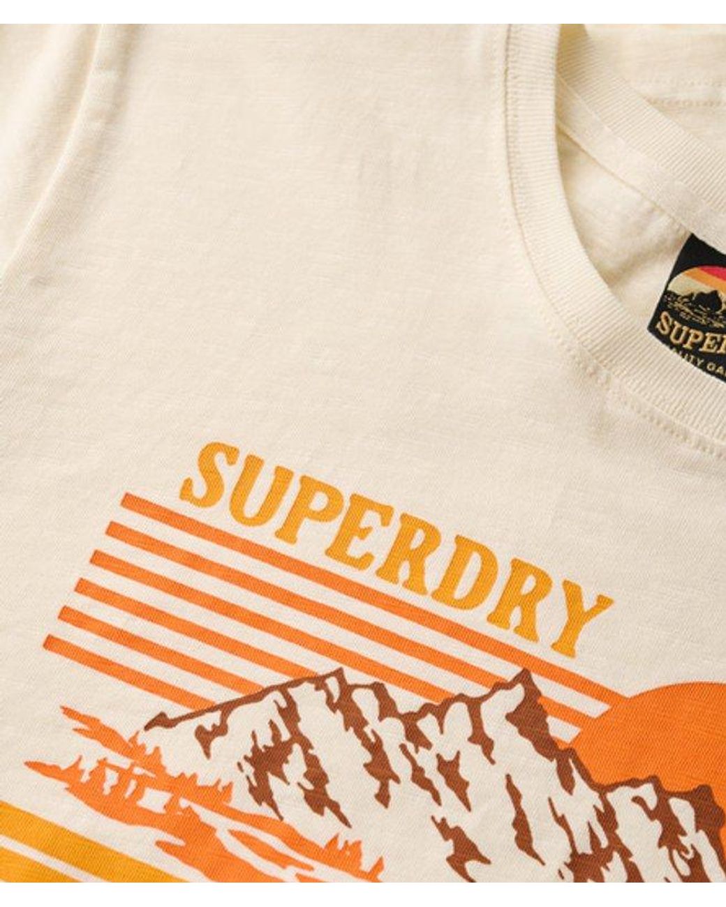 Superdry Blue & Co Outdoor Stripe Fitted Crew Neck T-shirt