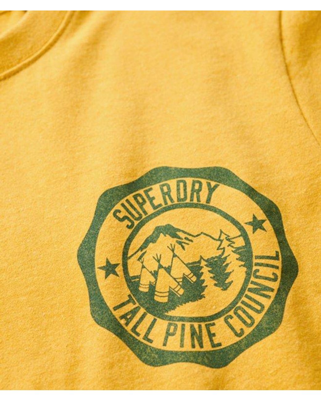 Superdry Blue Oversized Outdoor Graphic T-shirt
