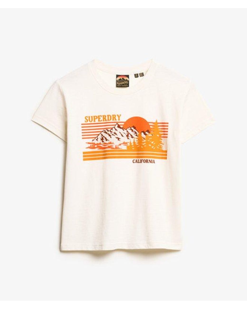 Superdry Blue & Co Outdoor Stripe Fitted Crew Neck T-shirt