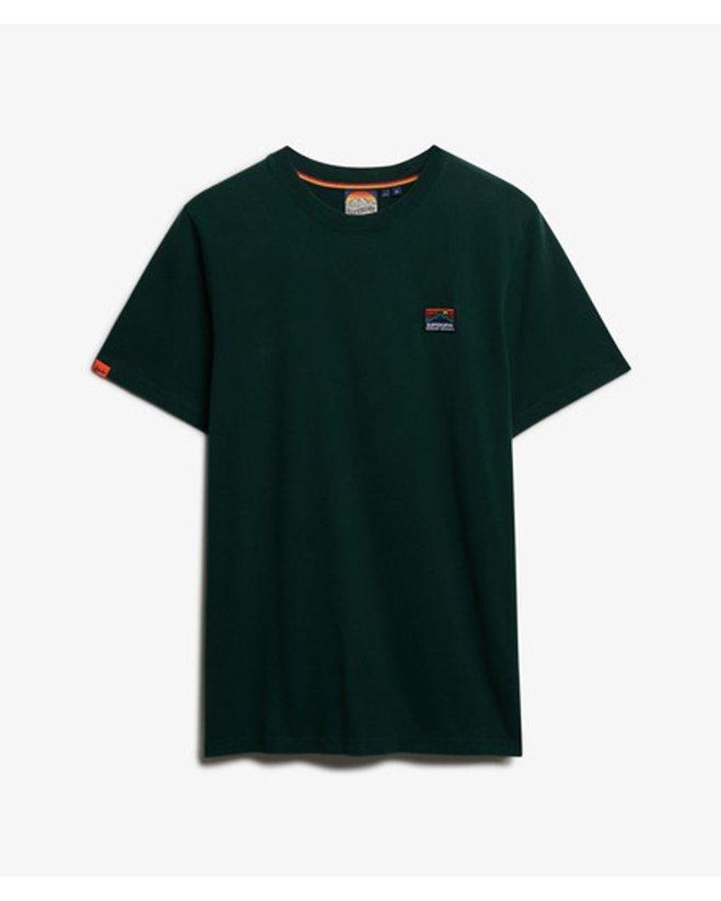 Superdry Green & Co Great Outdoors Embroidered Relaxed T-shirt for men