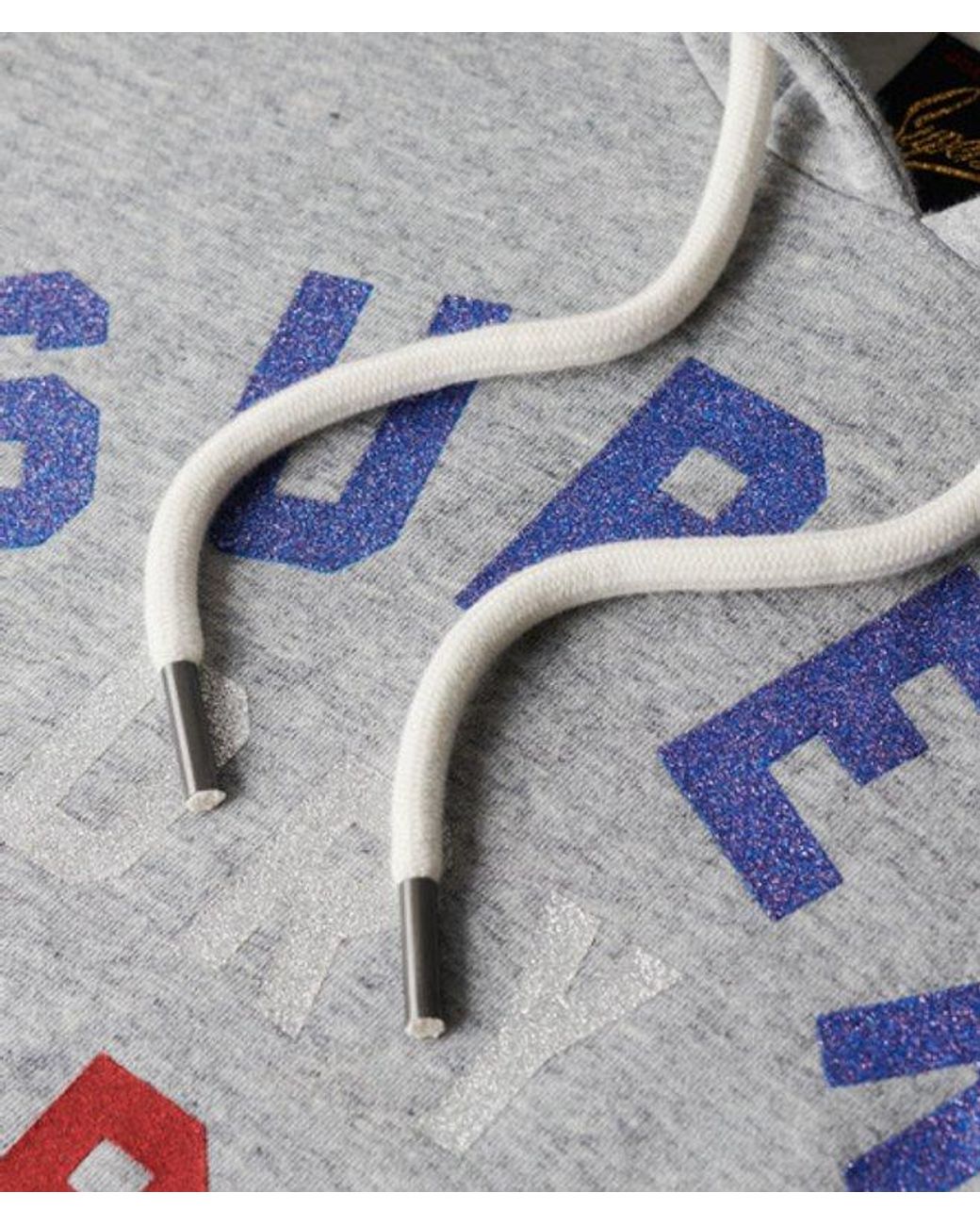 Superdry Gray & Co Glitter Graphic Logo Hoodie