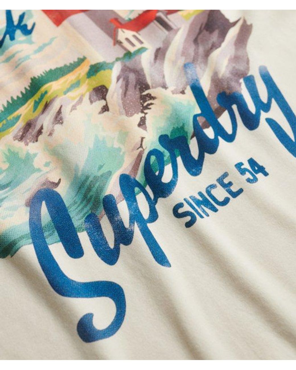 Superdry Blue & Co Maritime Loose T-shirt for men