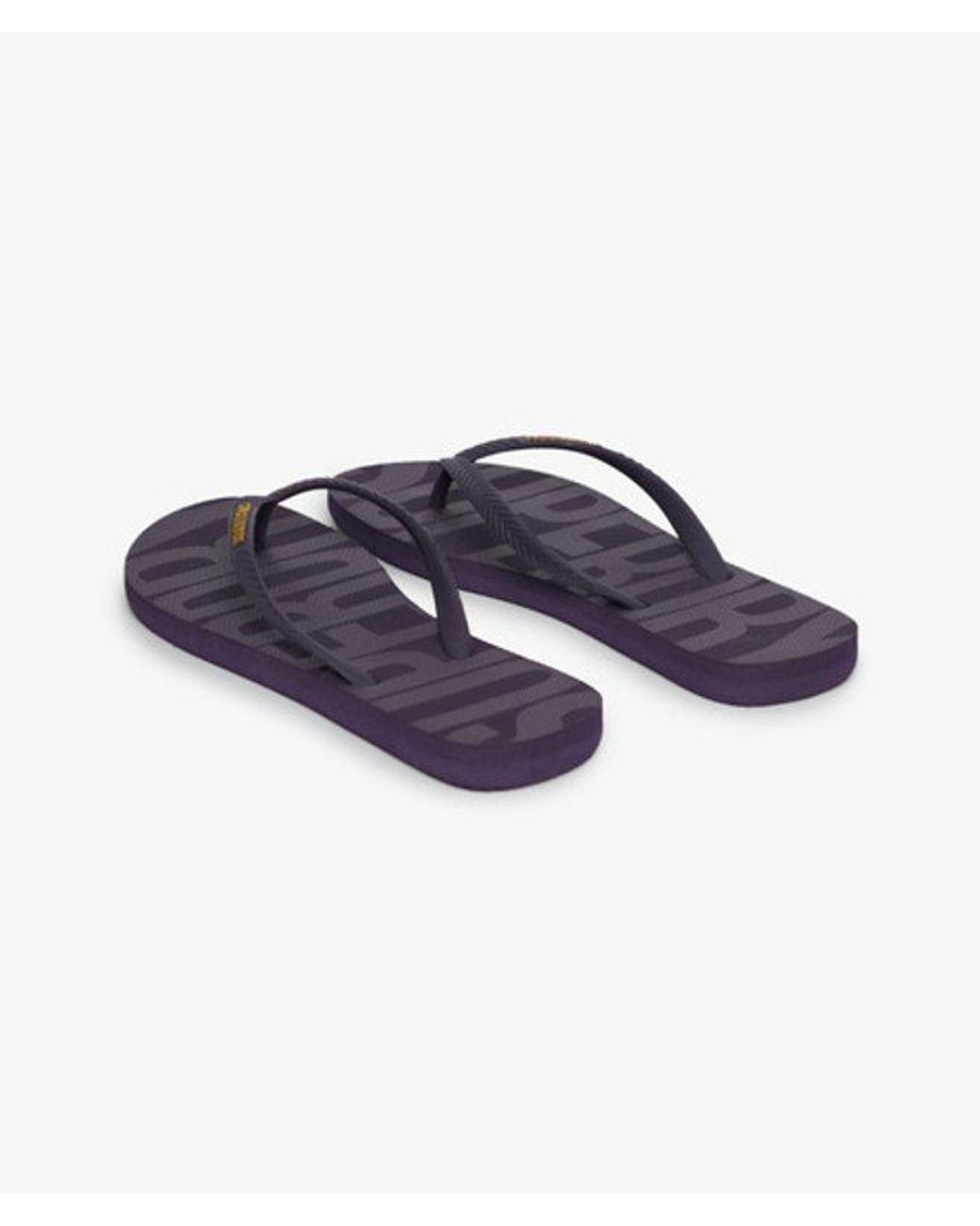 Superdry Blue & Co Essential Flip Flops