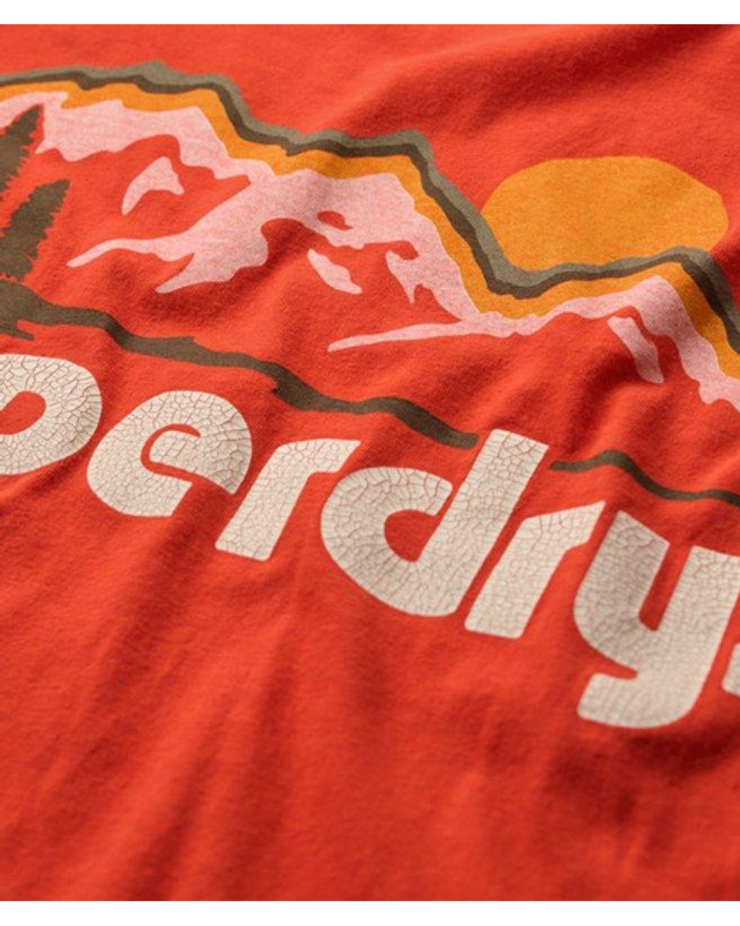 Superdry Orange & Co Great Outdoors Relaxed T-shirt for men