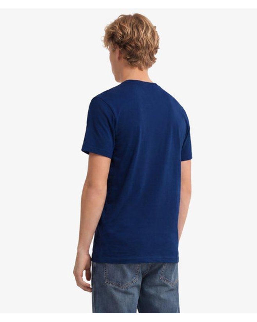 Superdry Blue & Co Essential Company Logo Embroidered T-shirt for men