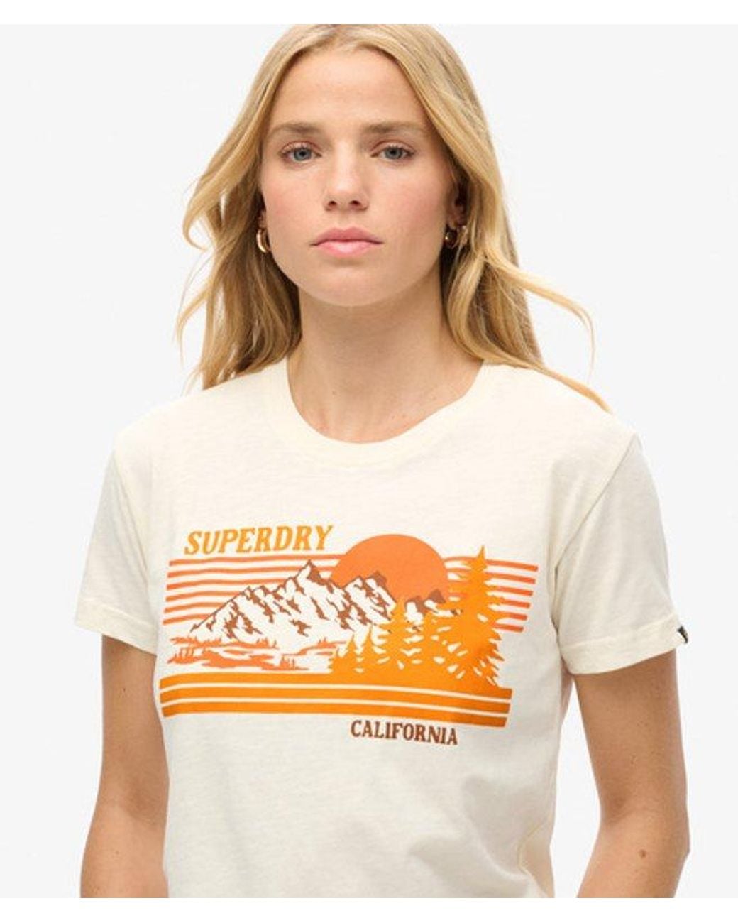 Superdry Blue & Co Outdoor Stripe Fitted Crew Neck T-shirt