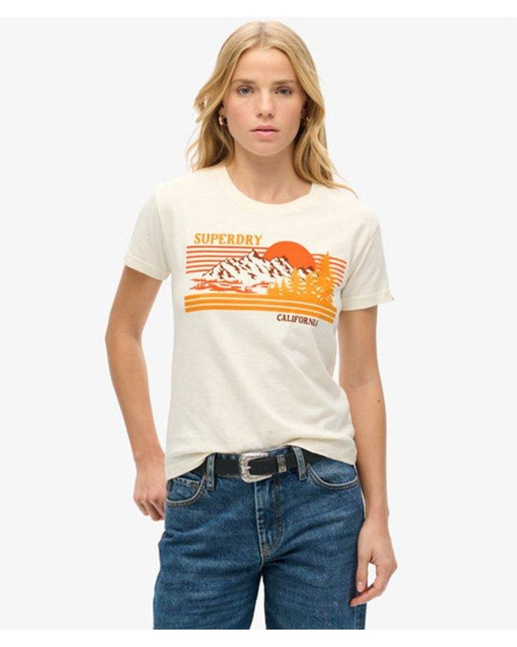 Superdry Blue & Co Outdoor Stripe Fitted Crew Neck T-shirt