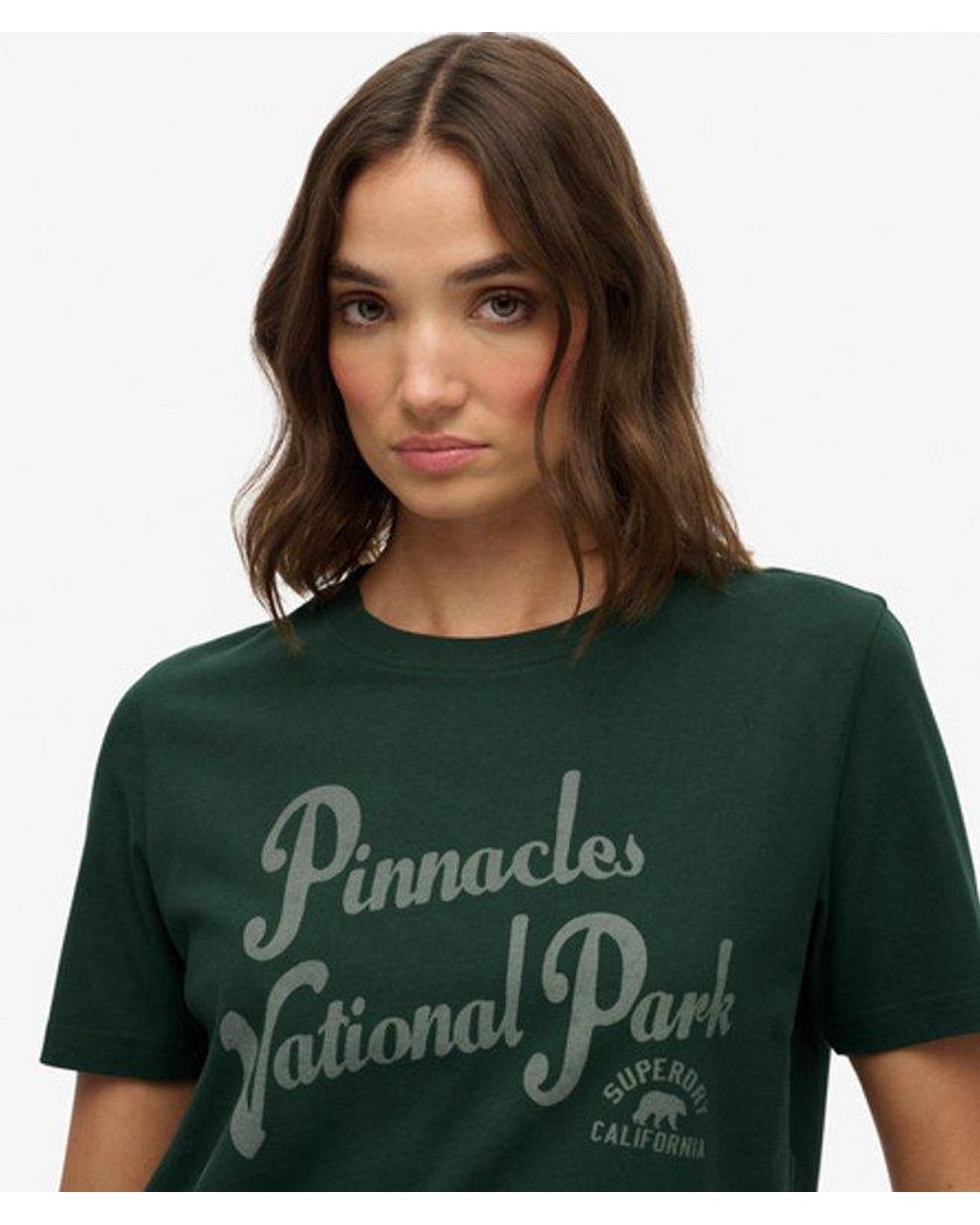 Superdry Green Lo-Fi Outdoors Relaxed T-Shirt