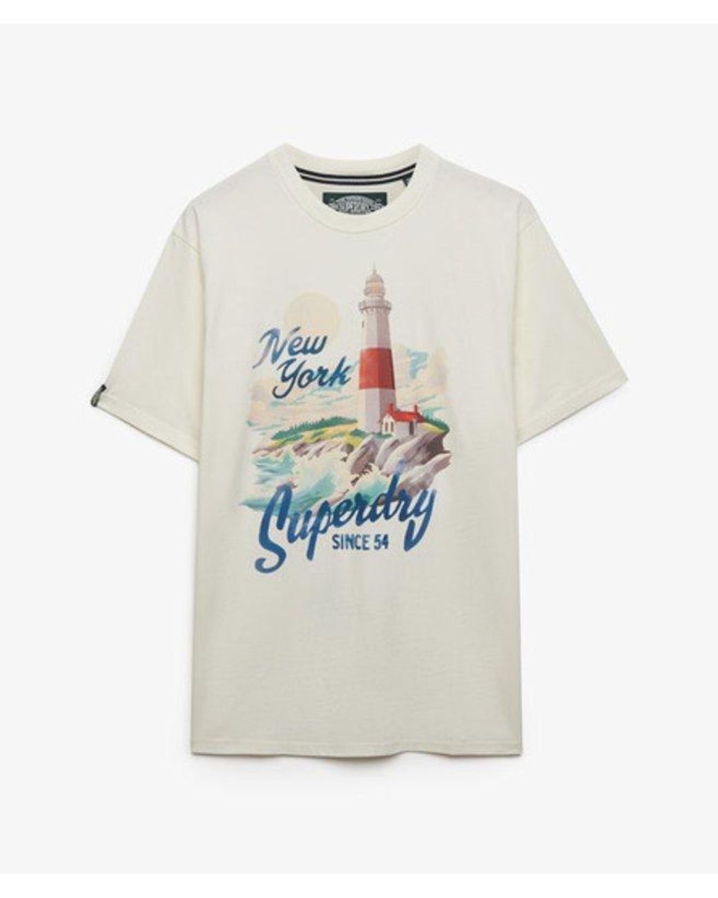 Superdry Blue & Co Maritime Loose T-shirt for men