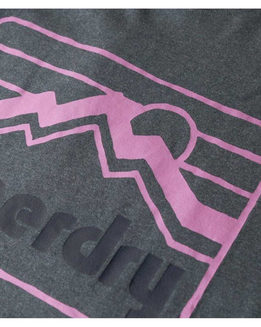 Superdry Gray & Co 90s Terrain Graphic T-shirt for men