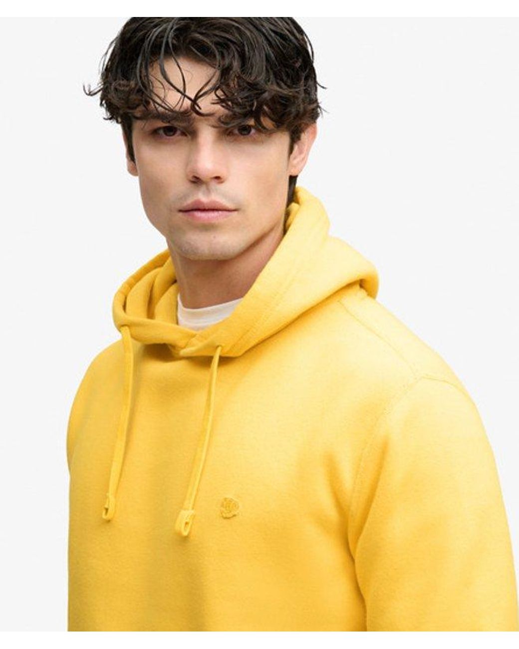 Superdry Yellow & Co Essential Logo Hoodie for men