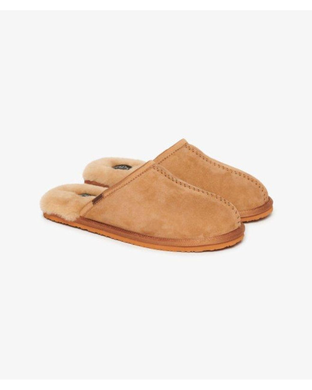Superdry Brown & Co Classic Suede Mule Slippers for men