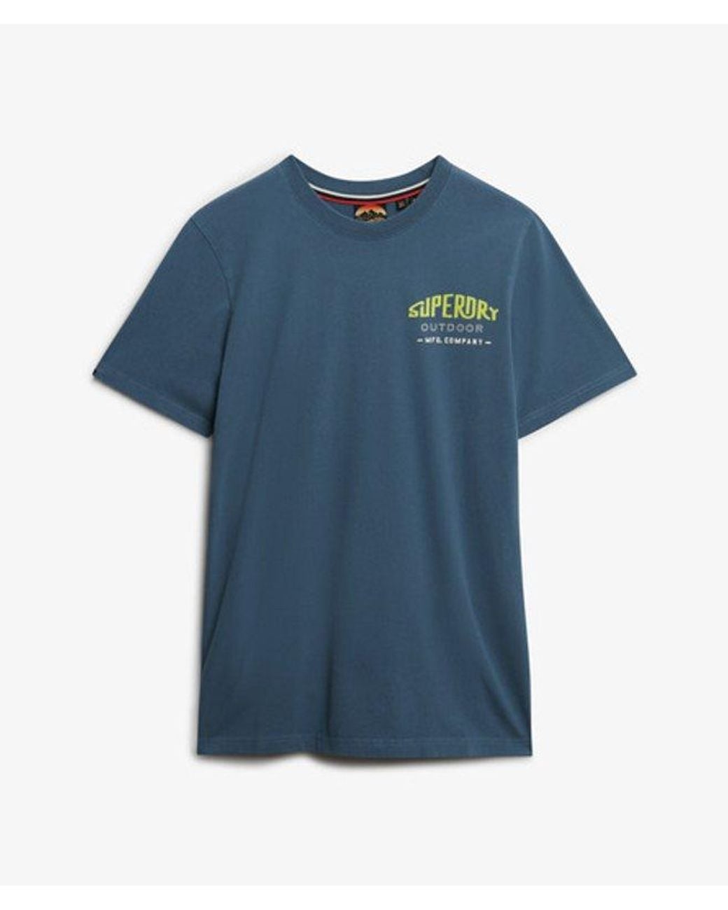 Superdry Blue & Co Mountain Relaxed T-shirt for men