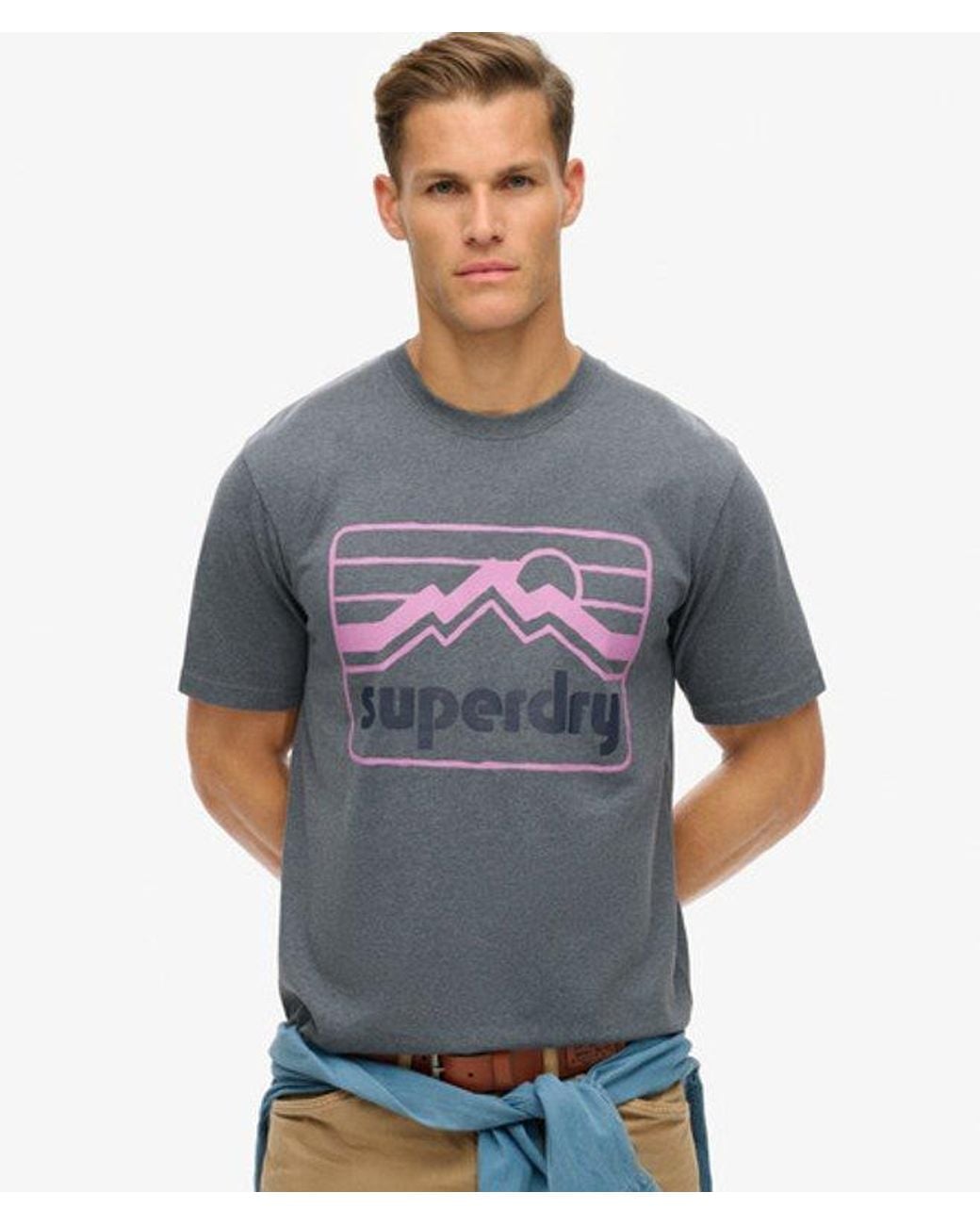 Superdry Gray & Co 90s Terrain Graphic T-shirt for men