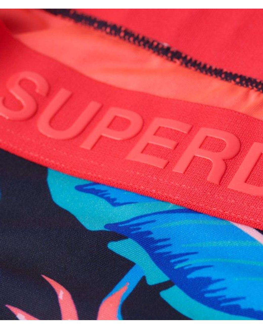 Superdry White & Co Logo Classic Bikini Briefs