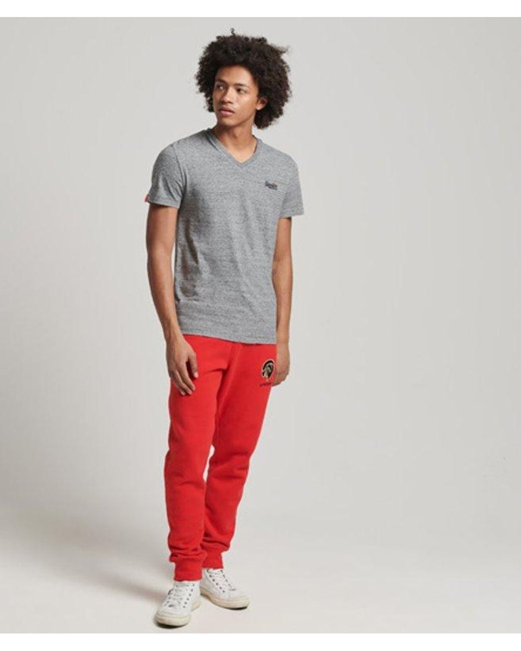 Superdry Gray Orange Label Vintage Embroidery V-neck T-shirt for men