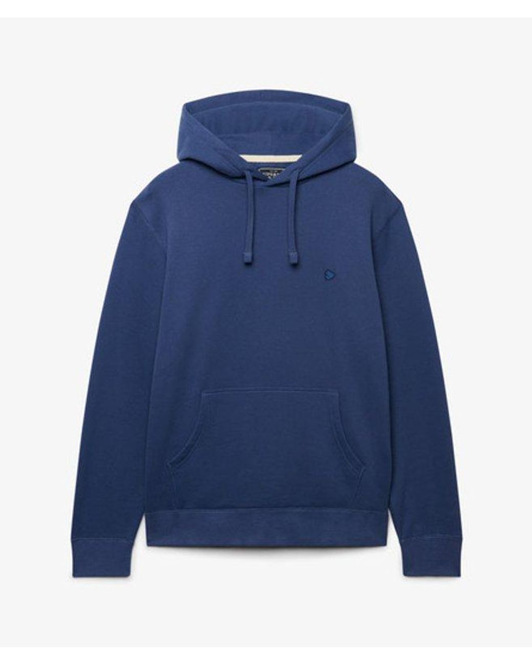 Superdry Blue & Co Essential Logo Hoodie for men