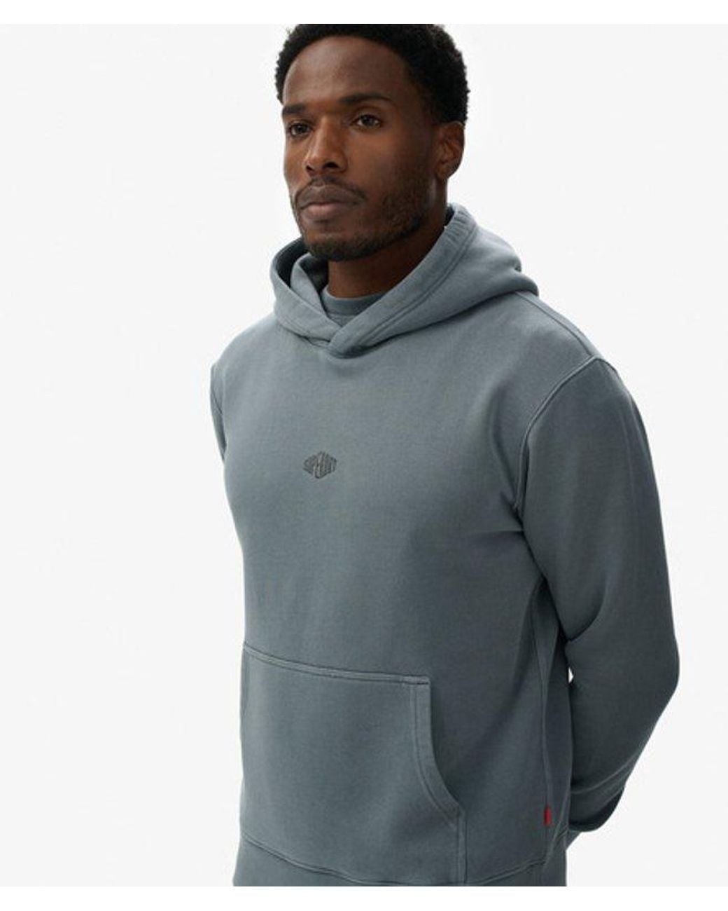 Superdry Hoodie Met Micrologo in het Blue voor heren
