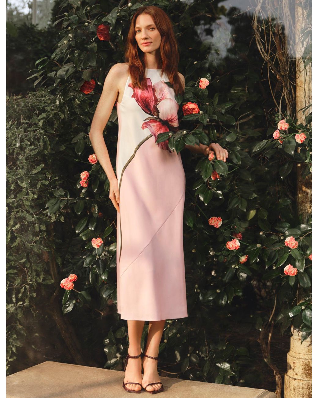 Ted Baker Black Lowela Bold Floral Print Halterneck Midi Dress