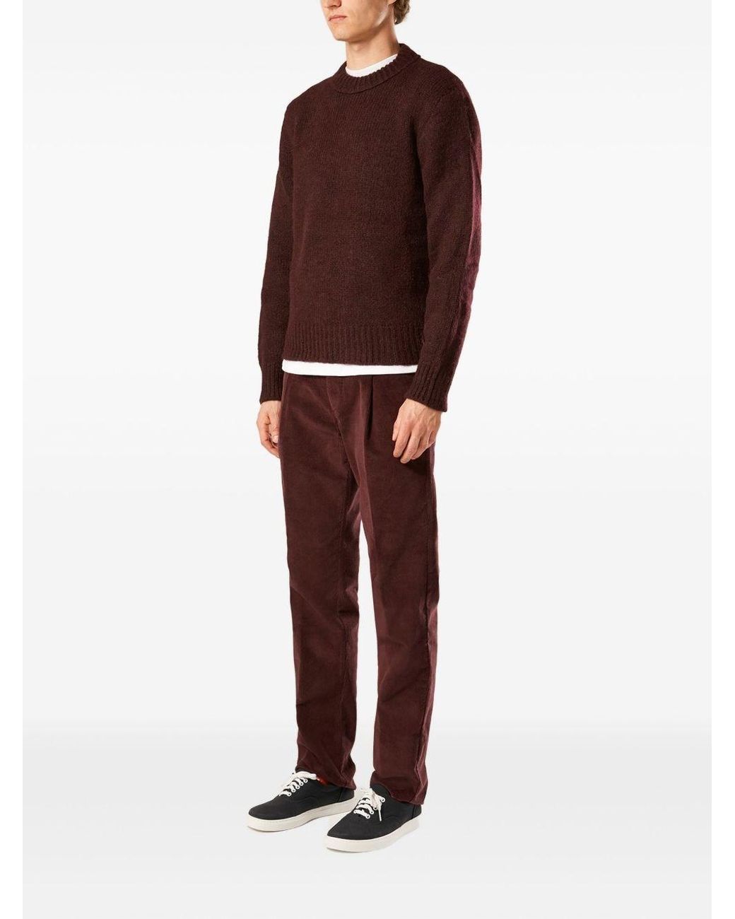 Doppiaa Purple Appio Round Neck Sweater for men