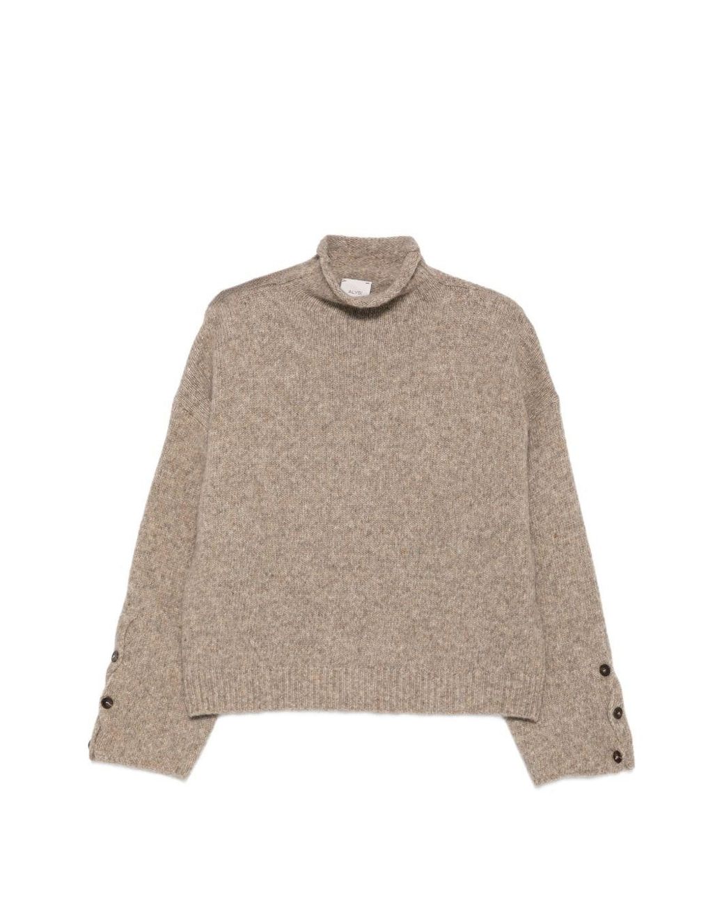 Alysi Natural Wool Turtle-Neck Jumper