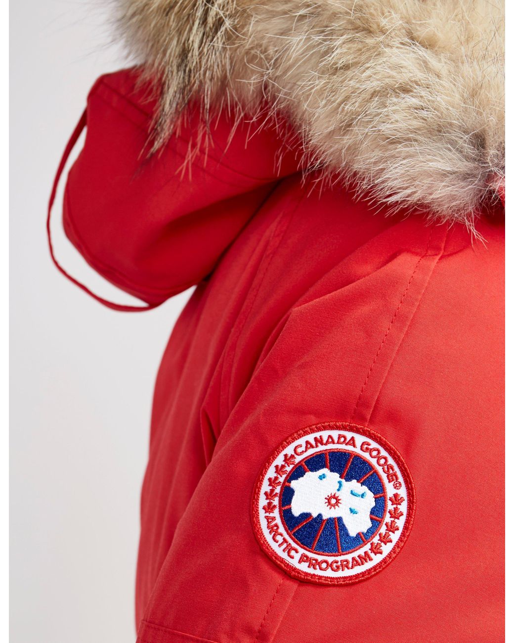 canada goose chilliwack red