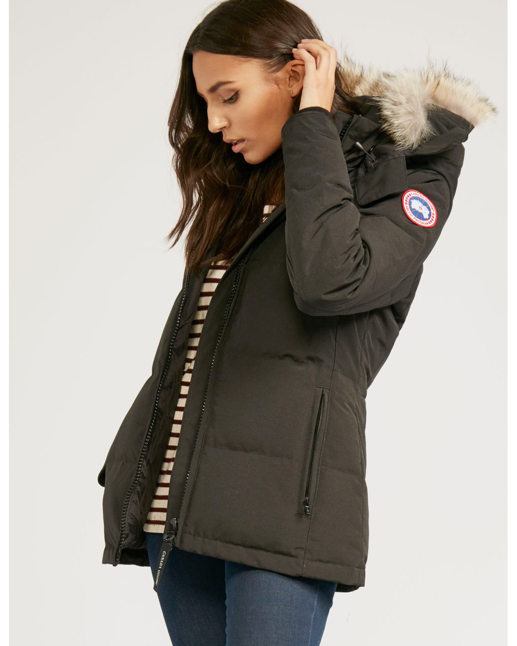 Canada Goose Goose Womens Chelsea Parka Jacket Black | Lyst Australia