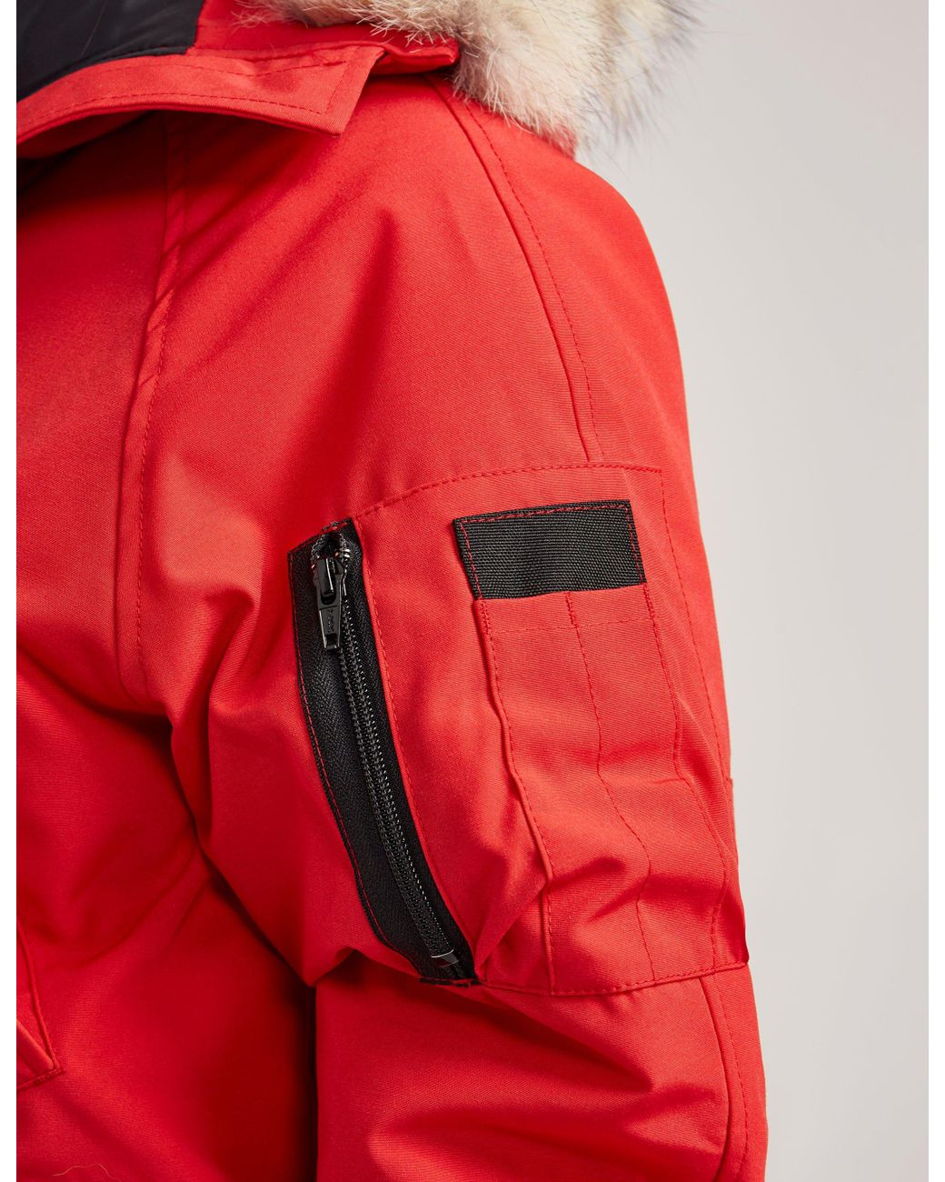 canada goose chilliwack red
