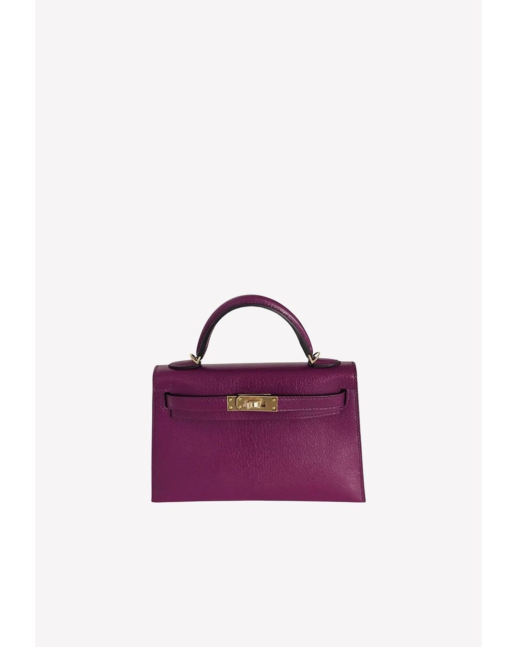 Hermès Mini Kelly Sellier 20 In Anemone Chèvre With Permabrass Hardware in  Purple