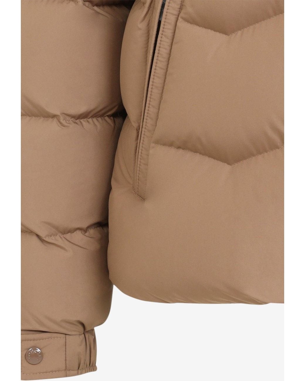 Moncler Brown Revelis Down Jacket for men