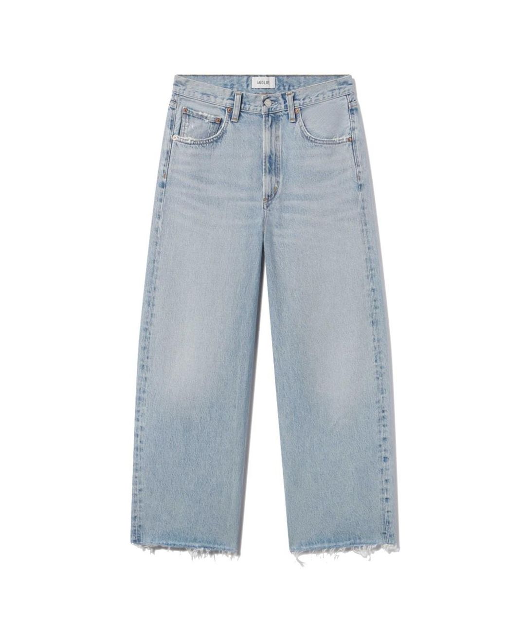 Agolde Blue Low Curve Fray Jeans
