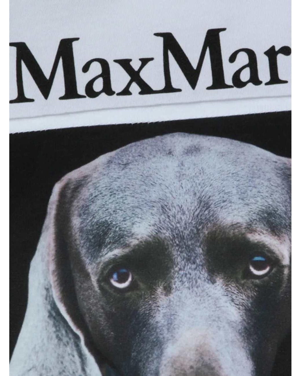 Max Mara Blue Printed Cotton T-Shirt