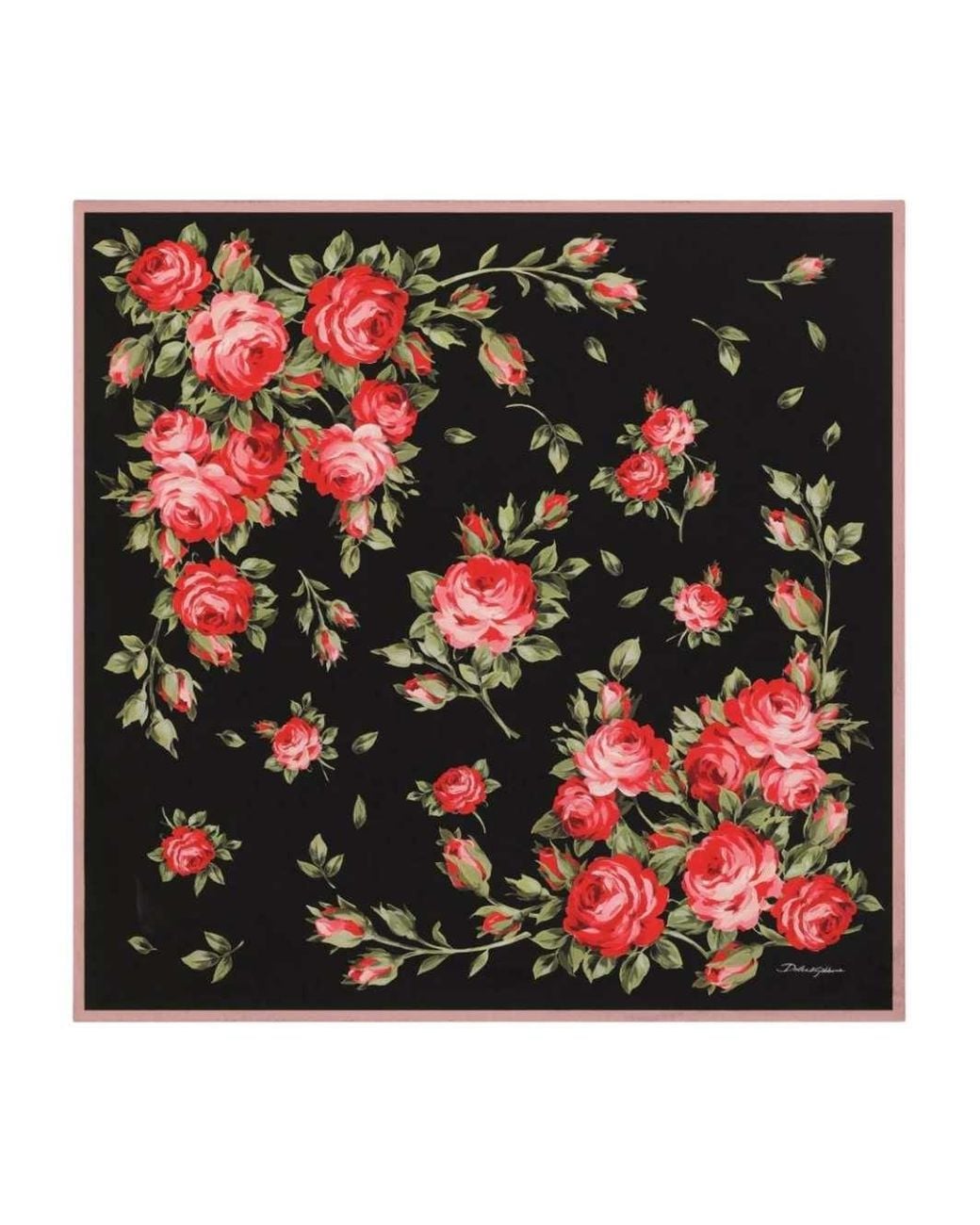 Dolce & Gabbana Red Dolce & Gabbana Floral-Print Scarf