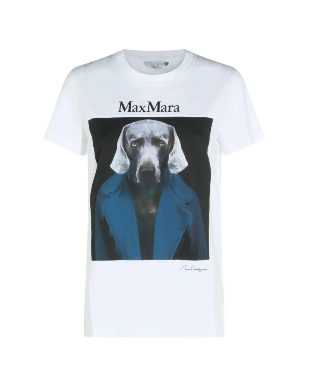 Max Mara Blue Printed Cotton T-Shirt