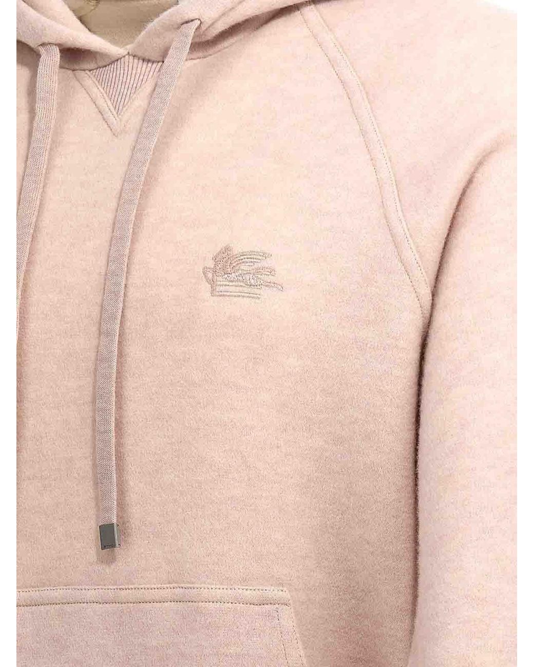 Etro Pink Logo Embroidery Wool Hoodie for men