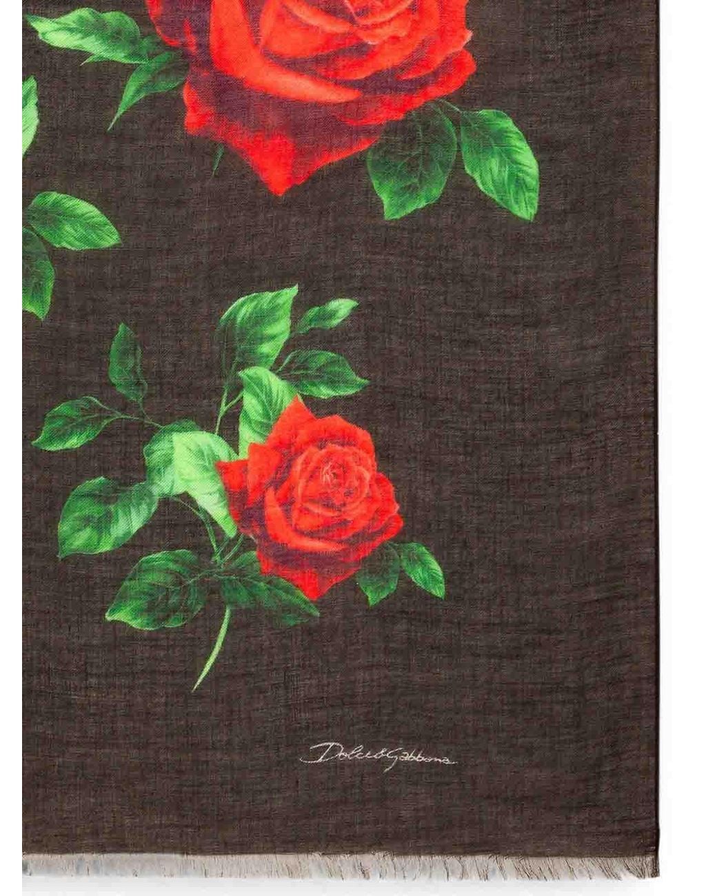 Sciarpa di Dolce & Gabbana in Black