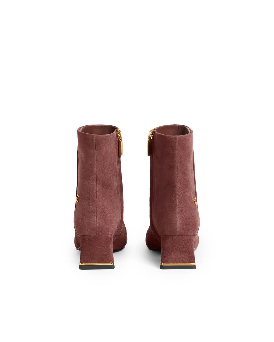 Coccinelle Purple C-Everyday Suede Ankle Boots
