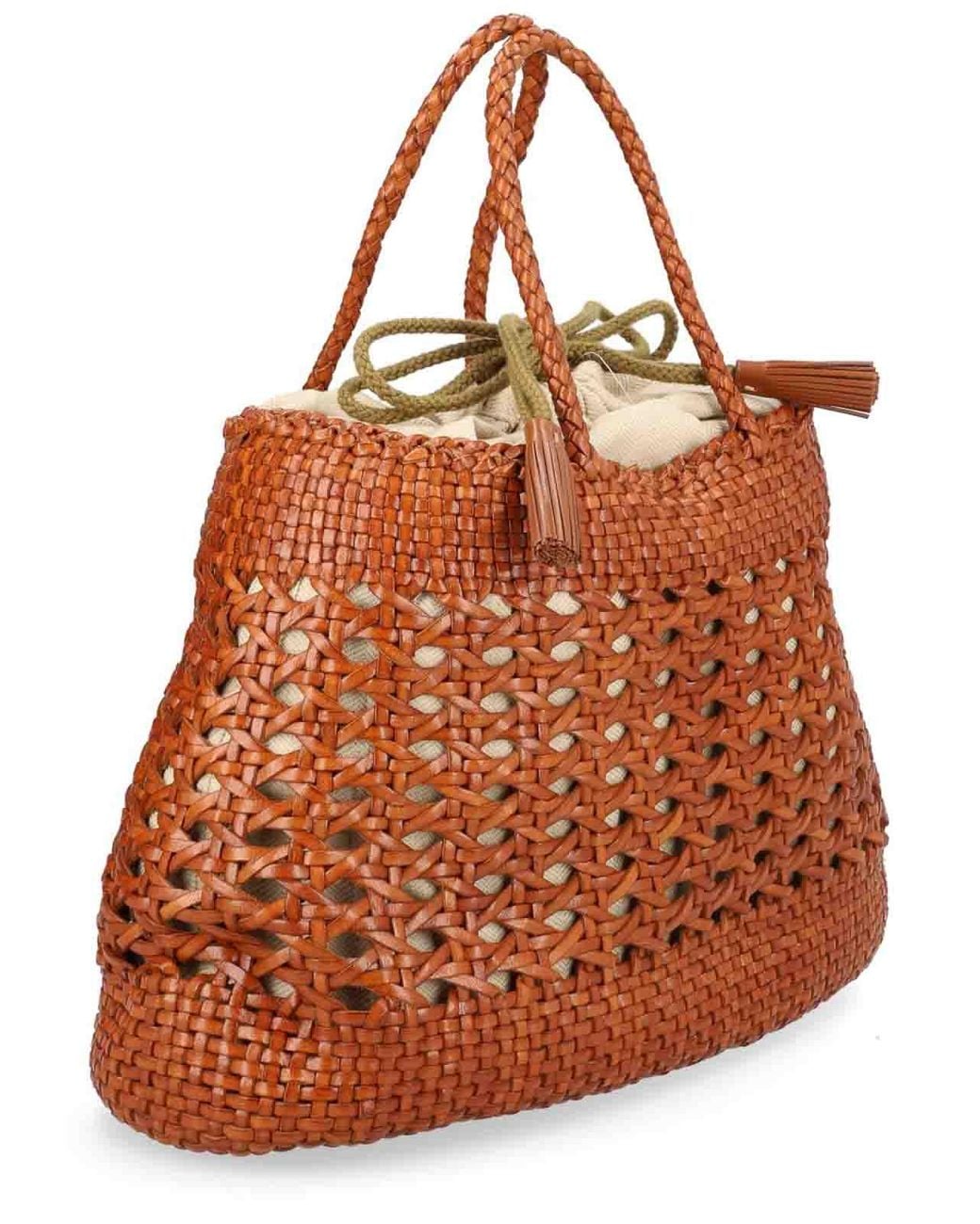 Dragon Diffusion Brown Santa Cano Bag