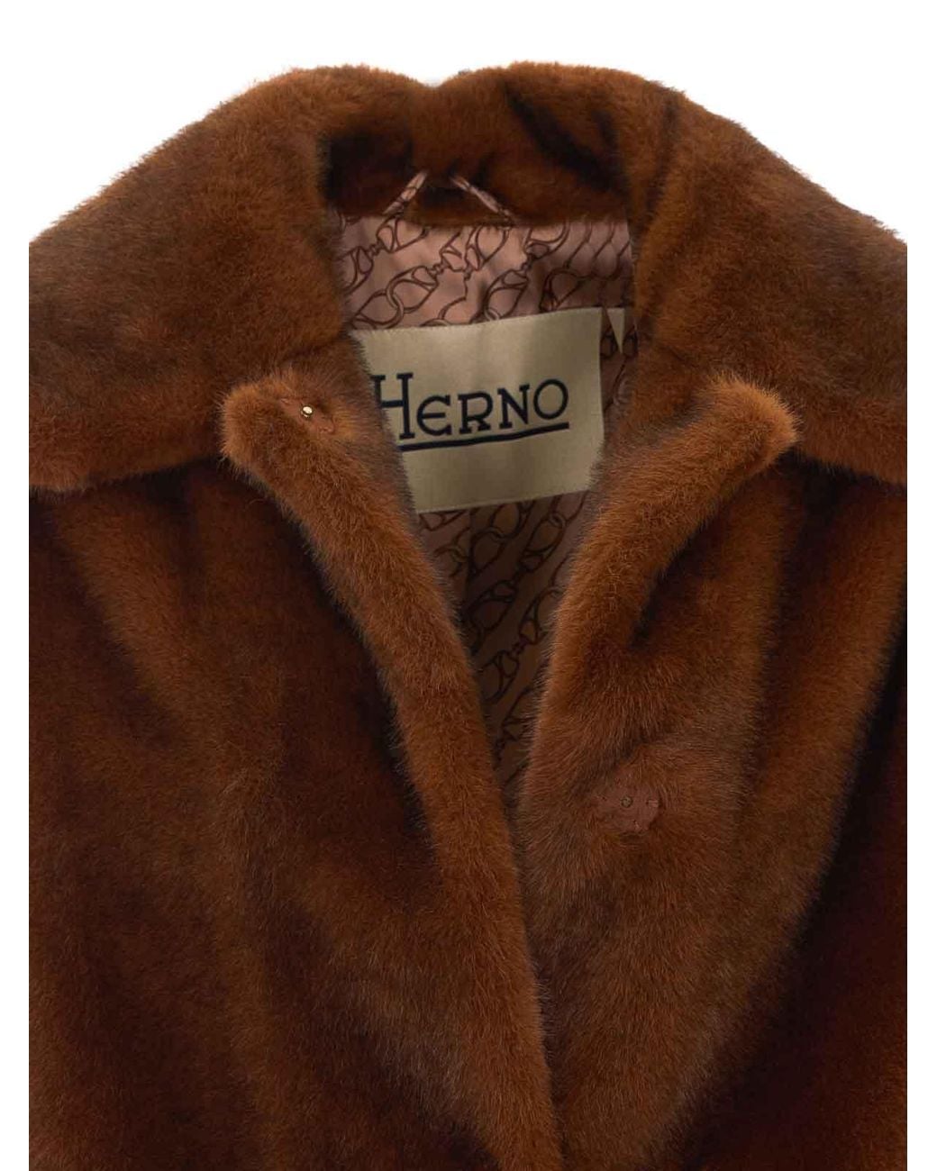 Bomber Herno en coloris Brown