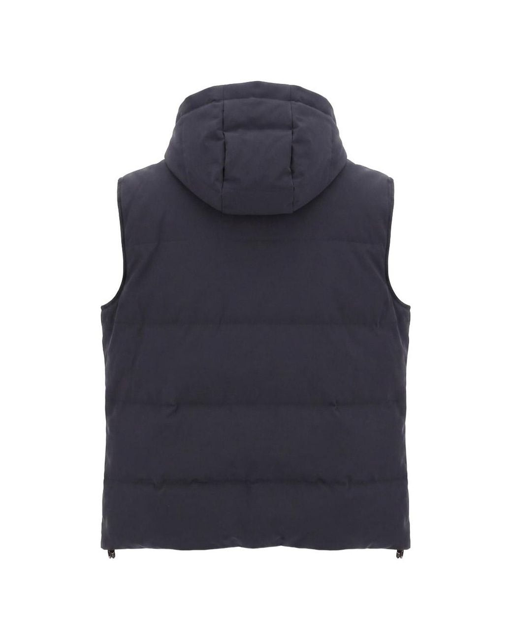 Montecore Blue Padded Vest for men