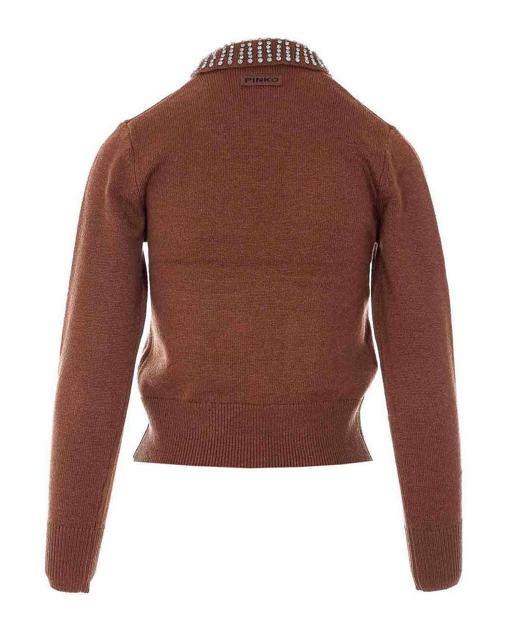 Pinko Brown Ventotene Sweater