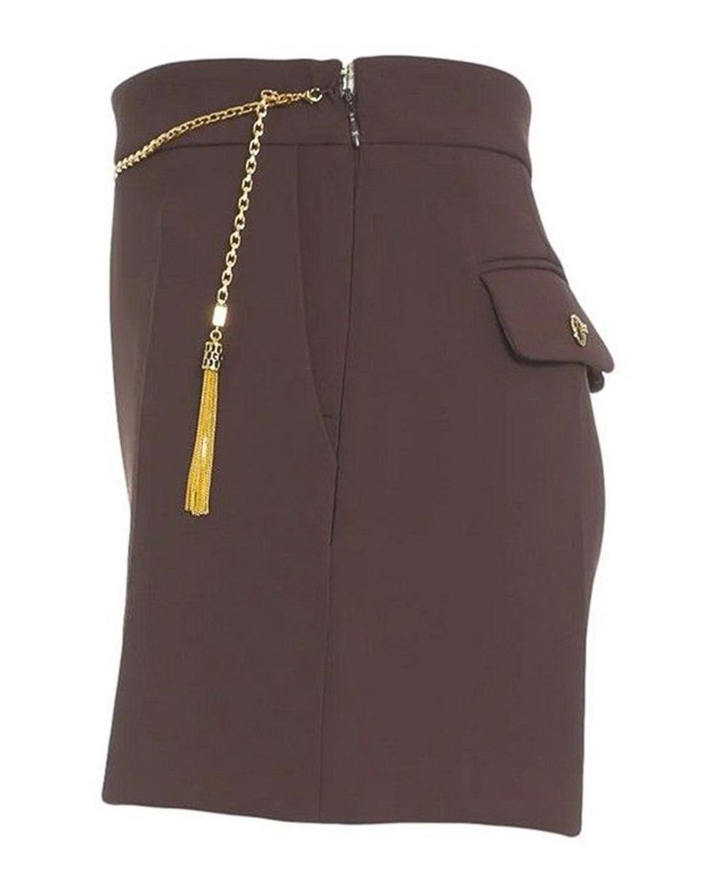 Elisabetta Franchi Brown Shorts