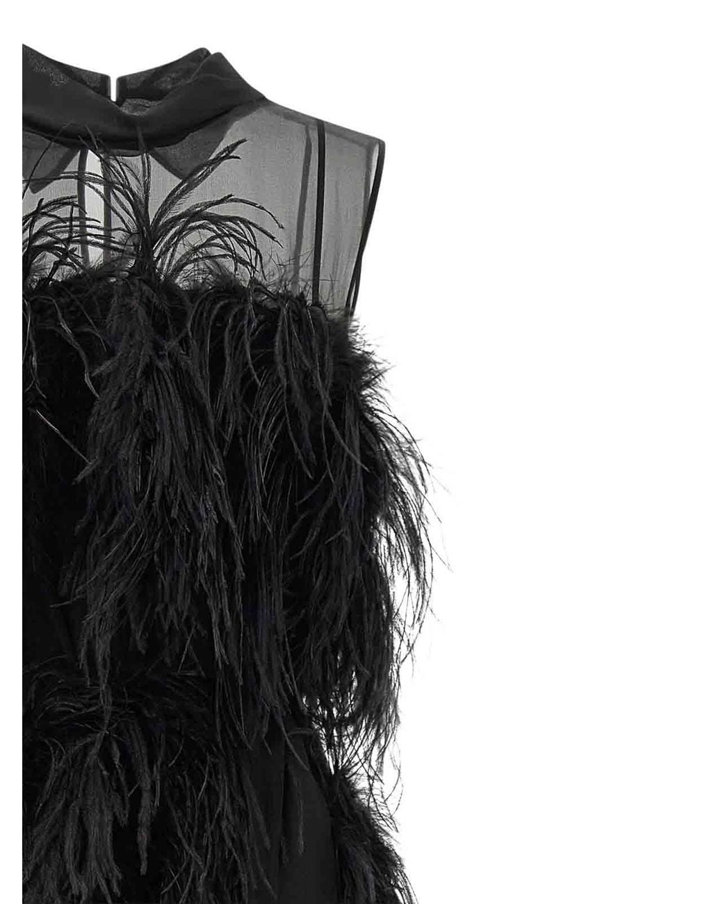 Alberta Ferretti Black Chiffon And Feather Dress