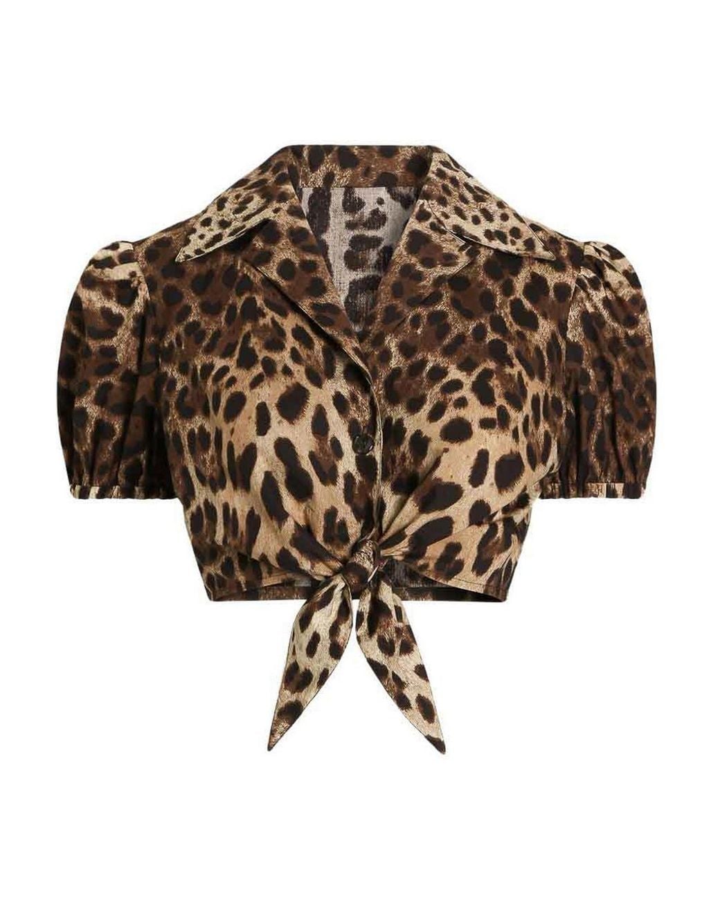 Dolce & Gabbana Brown Leo Print Cotton Shirt